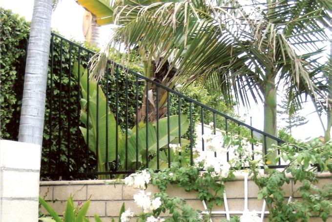 fence10